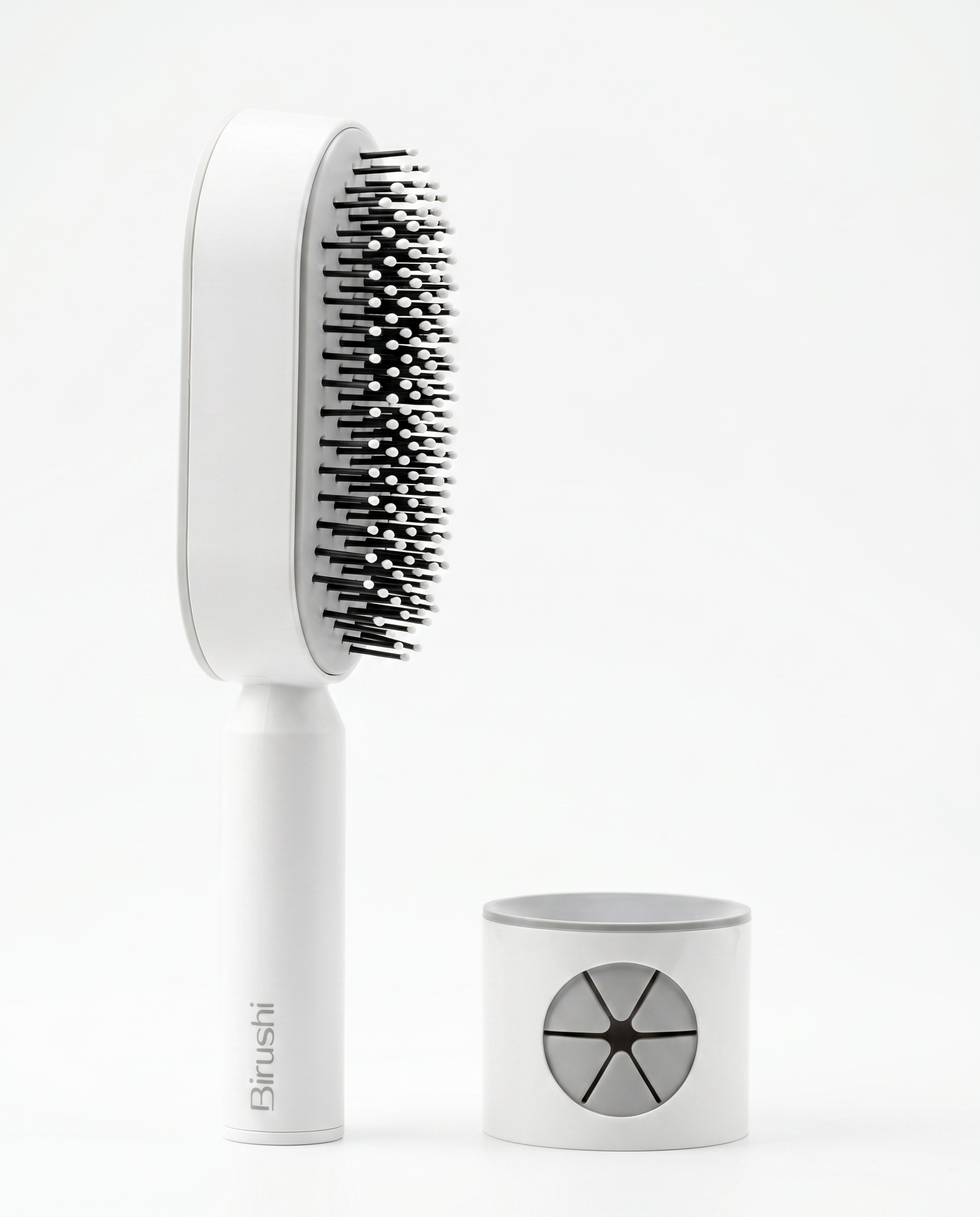 Brosse Birushi vue de dos