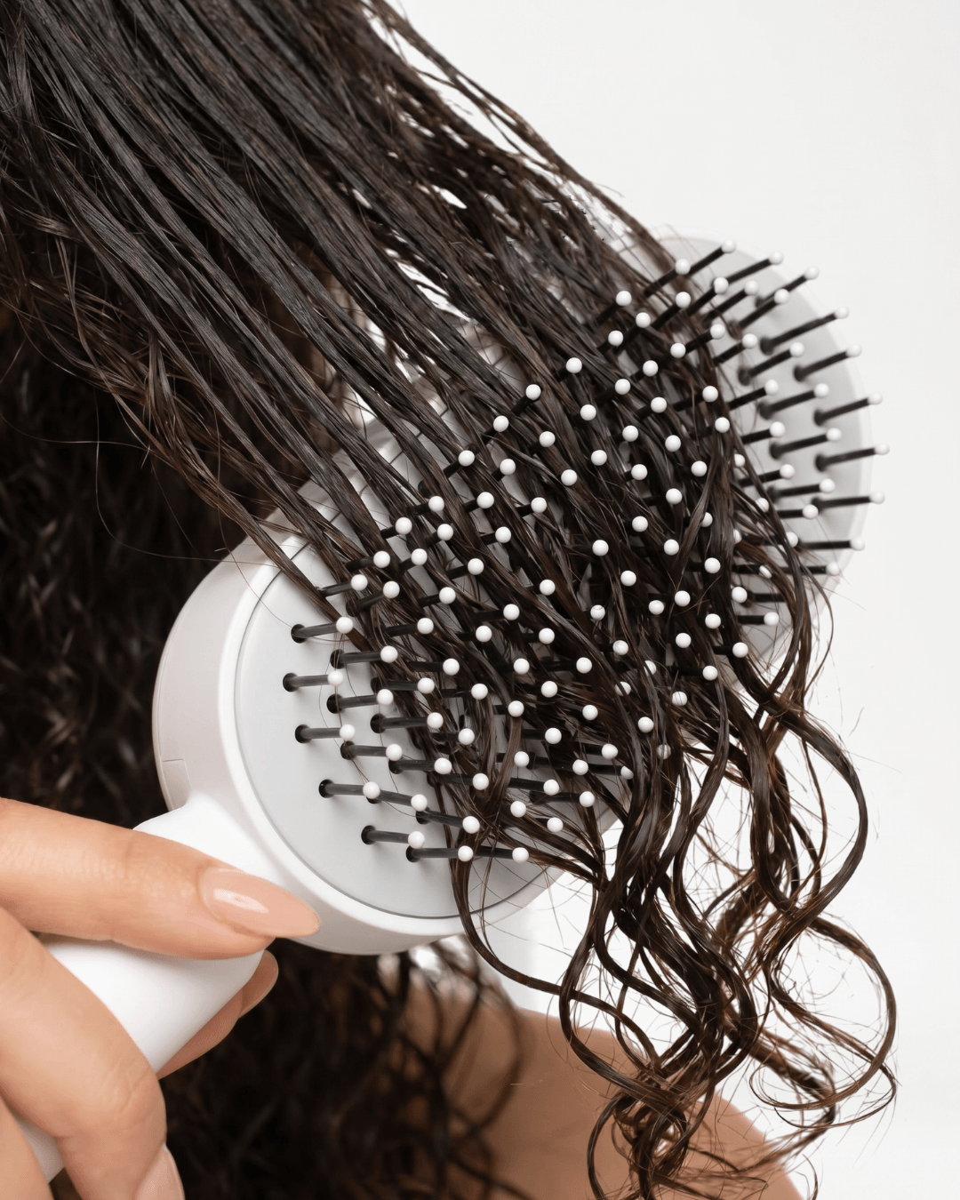 Brosse Birushi qui démêle des cheveux bouclés