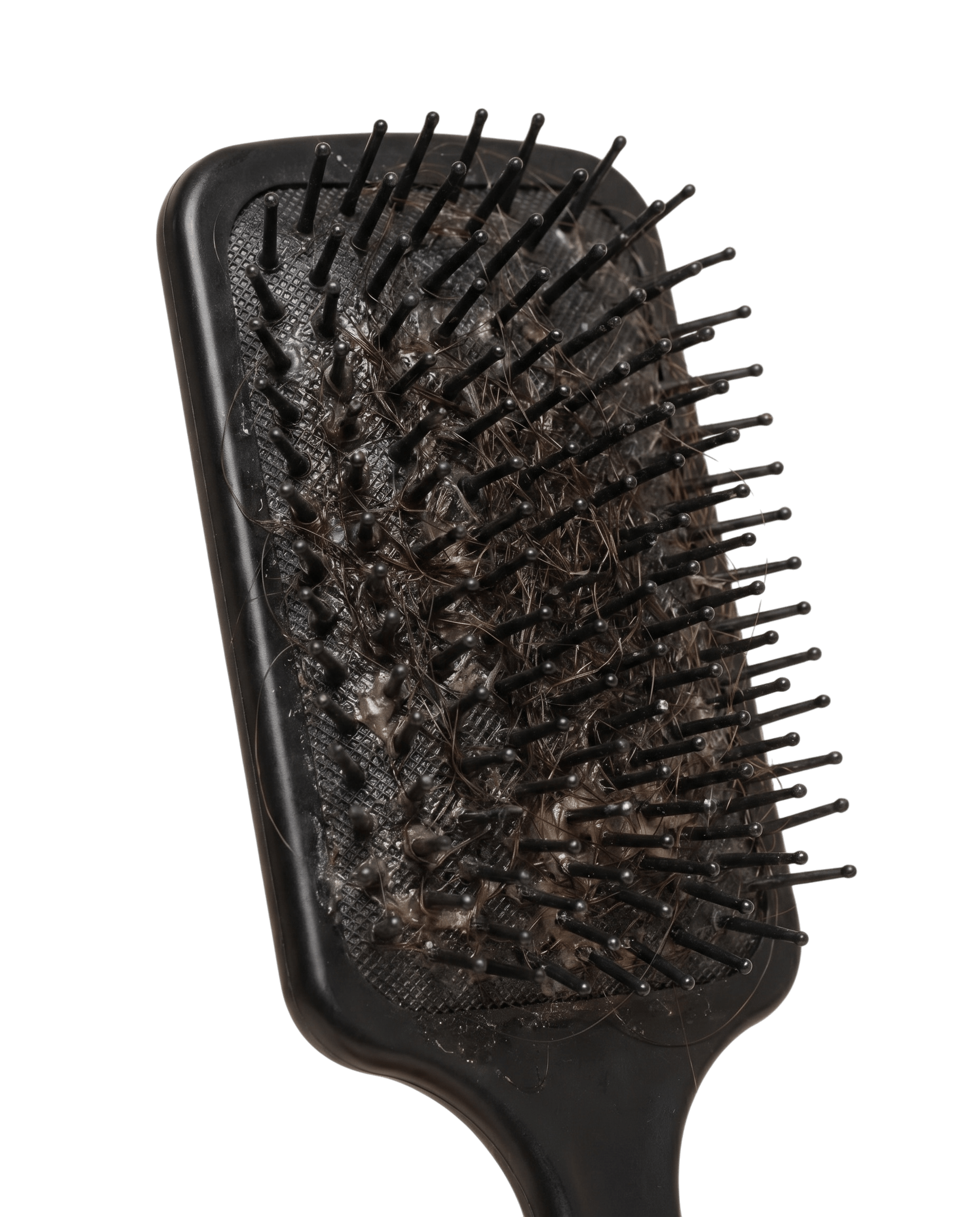 Brosse ordinaire pleine de cheveux emmêlés